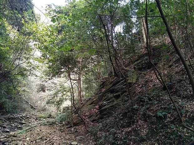森迪公主夏日度假