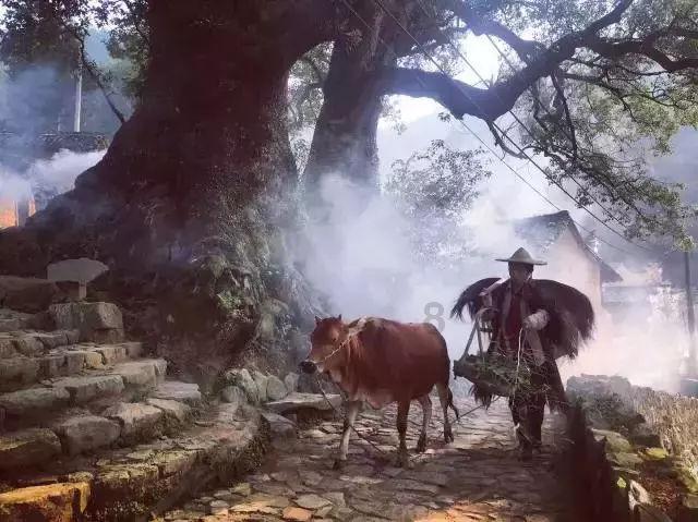 鼻涕和痰是一种东西么游戏画面