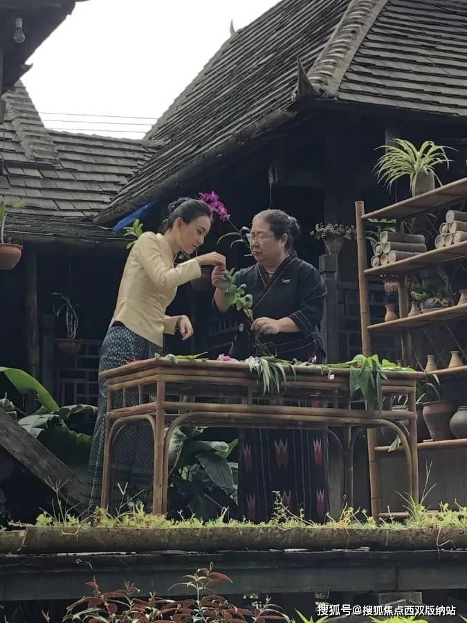 寻找暗藏的宝藏