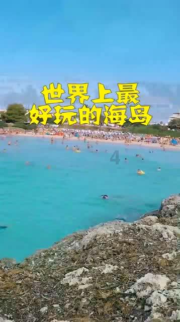 忍者鲨鱼