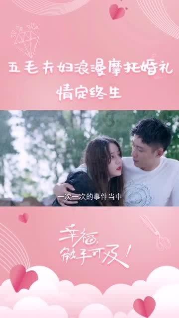 救援卷耳兔
