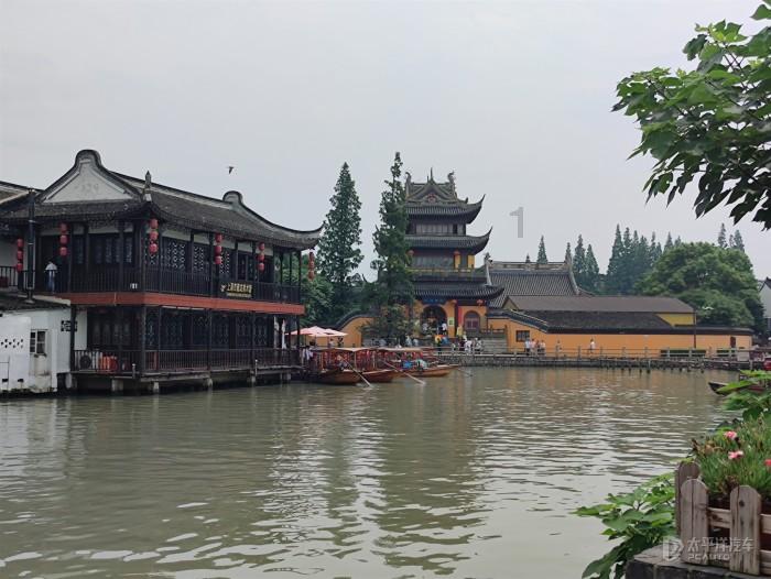 救援受困的火鸡